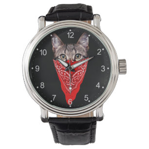 Gangster cat hood watch
