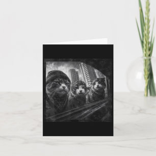 Gangster Cats Street Funny Graphic Humour Card