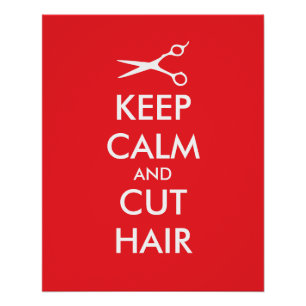 Garde calme et coupe de cheveux affiche pour salon