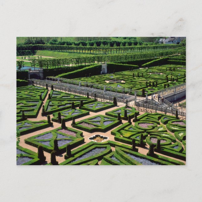 Garden at Villandry Chateau, Indre-et-Loire, Postcard (Front)
