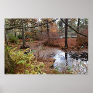 garden autumn trees and water pond plants  scene. poster