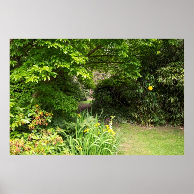 Garden Background Poster (Front)