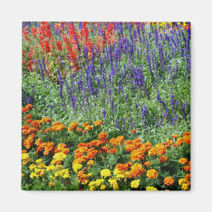 Garden Beauty Flower Photography Magnet