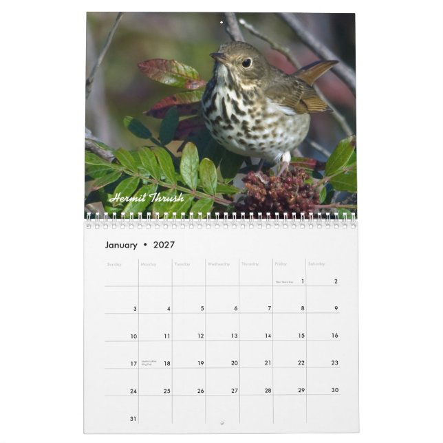 Garden Birds Monthly Calendar (Jan 2027)