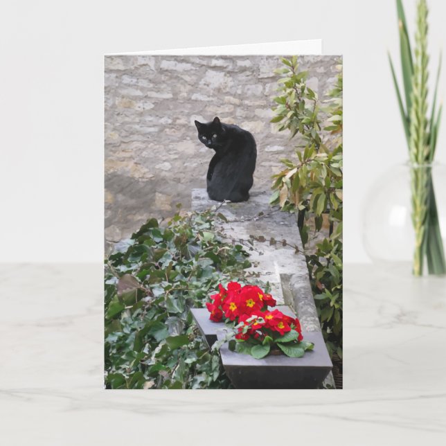 Garden Cat Birthday Card (Front)