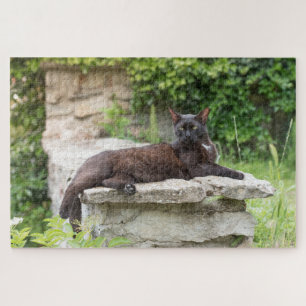 garden cat puzzle
