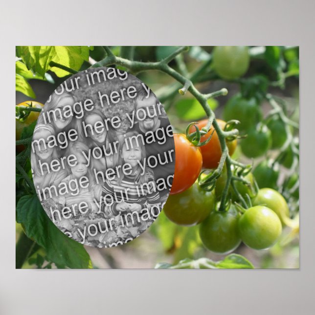 Garden Cherry Tomatoes Add Your Photo Poster (Front)