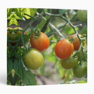 Garden Cherry Tomatoes Nature Binder