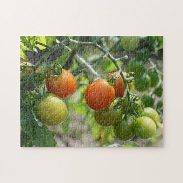 Garden Cherry Tomatoes Nature  Jigsaw Puzzle (Horizontal)