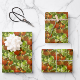Garden Cherry Tomatoes Nature Pattern   Wrapping Paper Sheet