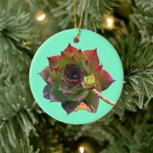 Garden Colourful Succulent Sempervivum Plant Ceramic Ornament