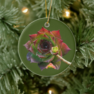 Garden Colourful Succulent Sempervivum Plant Ceramic Ornament