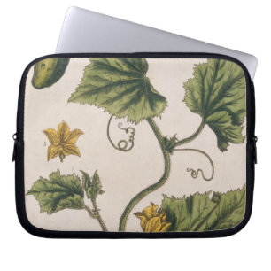 Garden Cucumber, plate 4 from 'A Curious Herbal', Laptop Sleeve