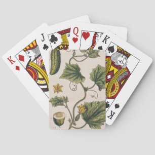 Garden Cucumber, plate 4 from 'A Curious Herbal', Playing Cards