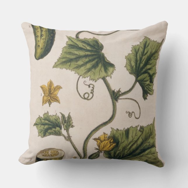 Garden Cucumber, plate 4 from 'A Curious Herbal', Throw Pillow (Front)