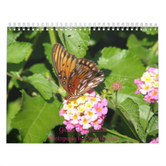 Garden Dreams 2011 Calendar
