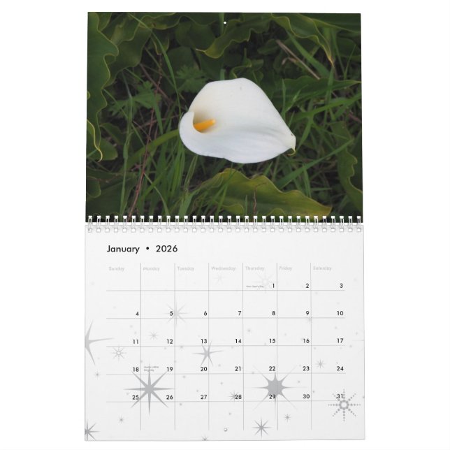 Garden Dreams 2011 Calendar (Jan 2026)