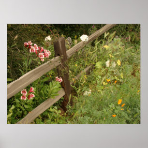 Garden Fence Print