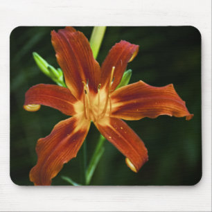 Garden Flame Mousepad