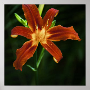 Garden Flame Print
