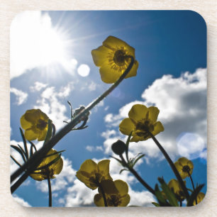 GARDEN FLOWER COASTER