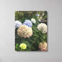 Garden Flowers