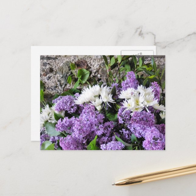 GARDEN FLOWERS POSTCARD (Front/Back In Situ)