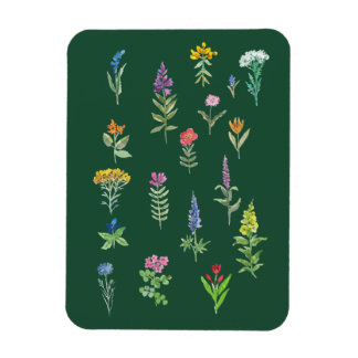 garden flowers postcard  magnet
