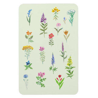 garden flowers postcard  magnet