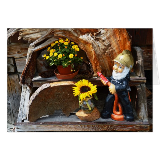 Garden gnome (Front Horizontal)