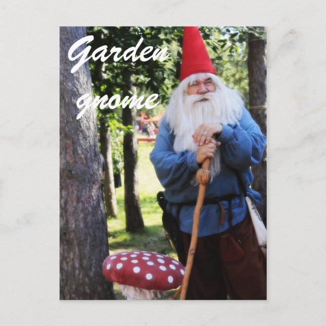 Garden Gnome Postcard (Front)