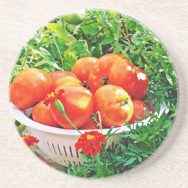 Garden Goodies Coaster (Front)