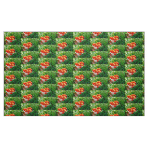 Garden Goodies Fabric