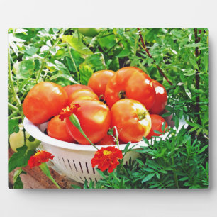 Garden Goodies Plaque