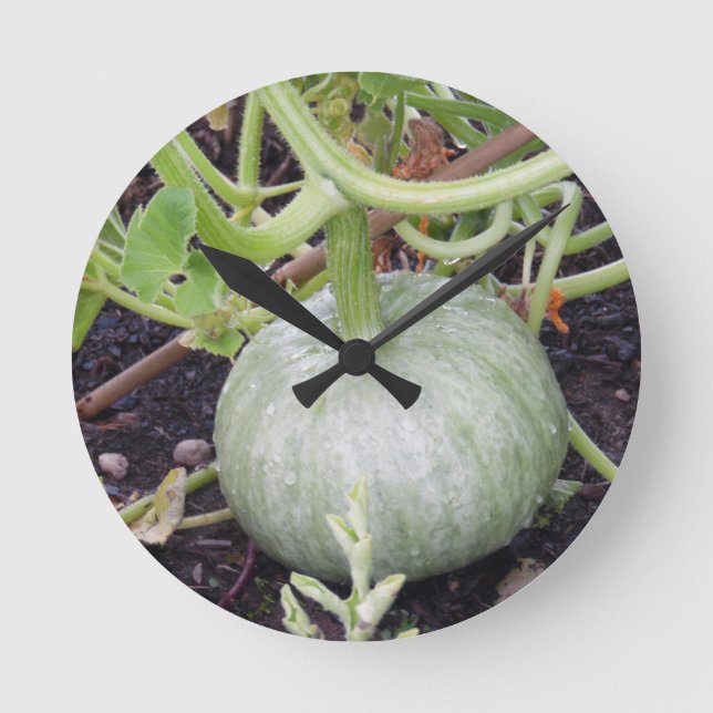 Garden: Growing Pumpkin Round Clock (Front)