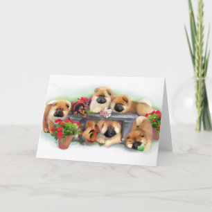 "GARDEN HELPERS" chow art card