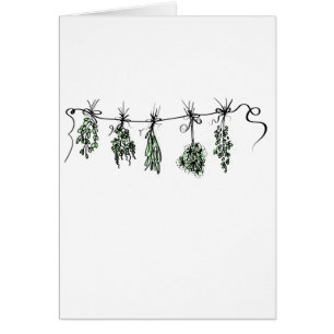 Garden Herbs botanical boho 