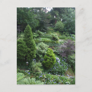 Garden II Postcard