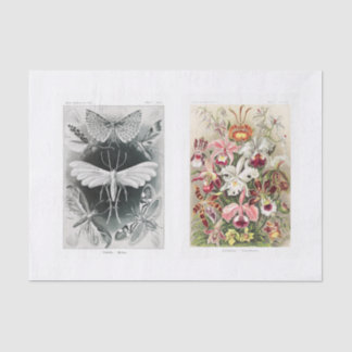 Garden insect and floral decoupage tissue paper