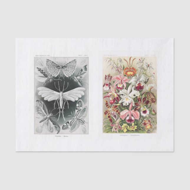 Garden insect and floral decoupage tissue paper (Front)
