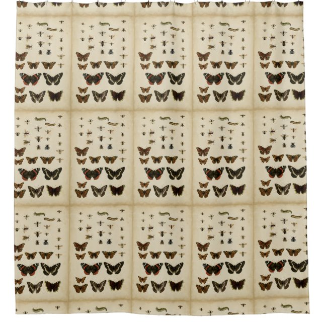 Garden Insects by Vision Studio (Front)
