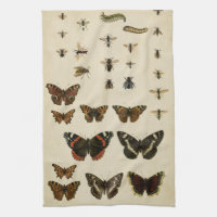 Garden Insects by Vision Studio