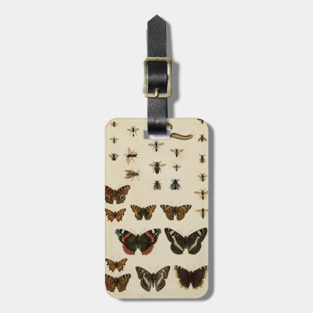 Garden Insects by Vision Studio Luggage Tag (Front Vertical)