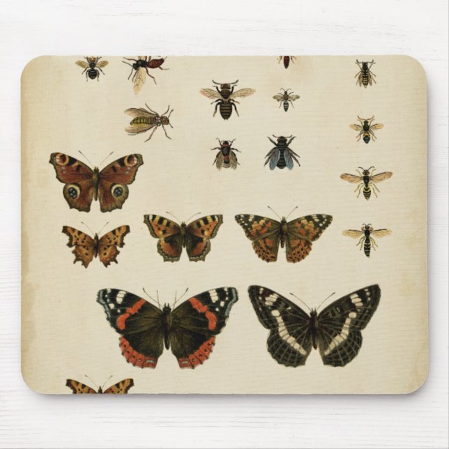 Garden Insects by Vision Studio Mouse Pad (Front)