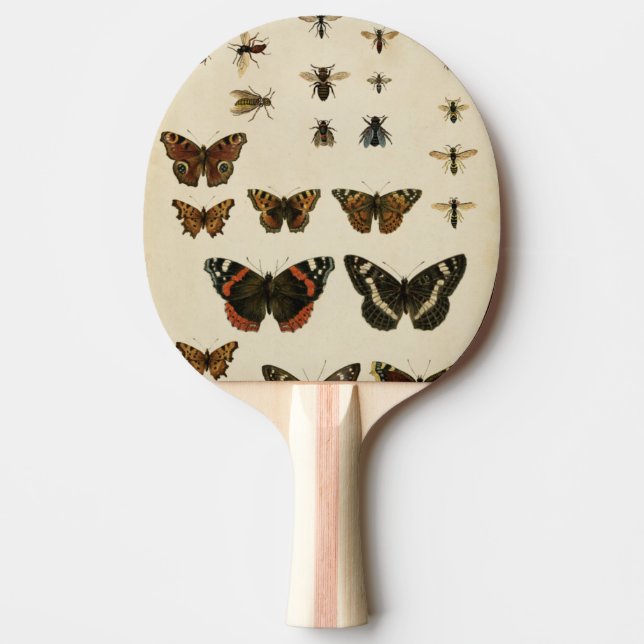 Garden Insects by Vision Studio Ping Pong Paddle (Front)