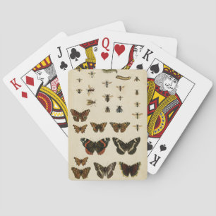 Garden Insects by Vision Studio Playing Cards