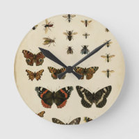 Garden Insects by Vision Studio