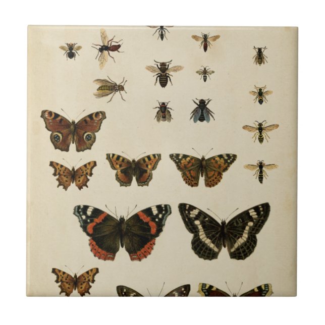 Garden Insects by Vision Studio Tile (Front)
