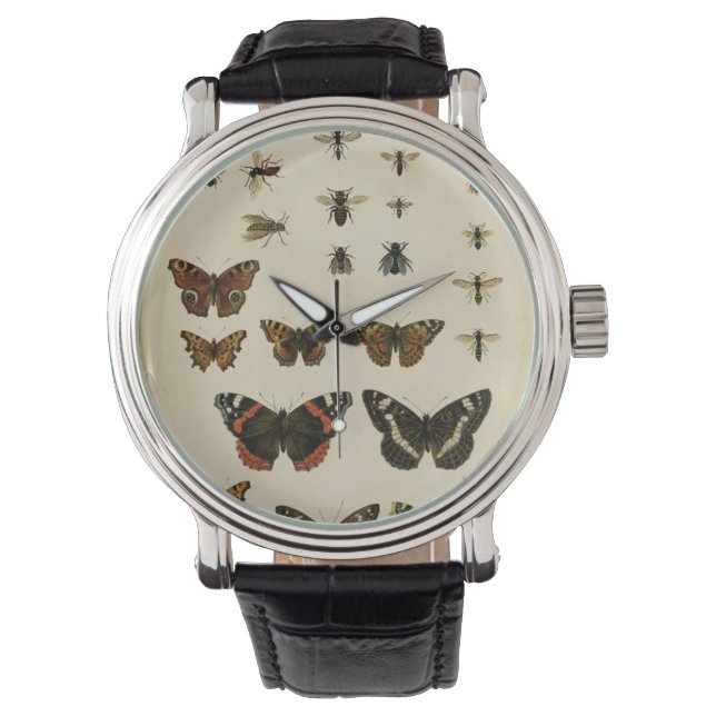 Garden Insects by Vision Studio Watch (Front)