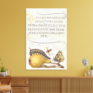 Garden Insects, Fly, Caterpillar, Pear, Centipede Canvas Print